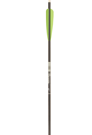 ALUMINUM ARROW