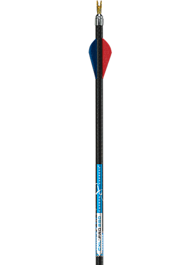 CXL Pro