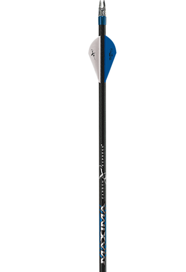 Maxima Blue Streak