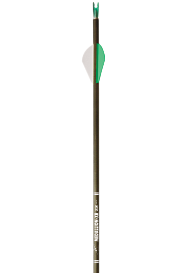 MedallionXR