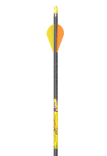 T1248 MAYHEM-ARROW