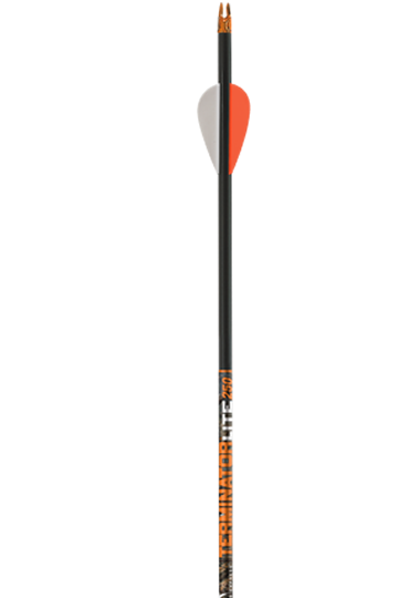 Terminator lite