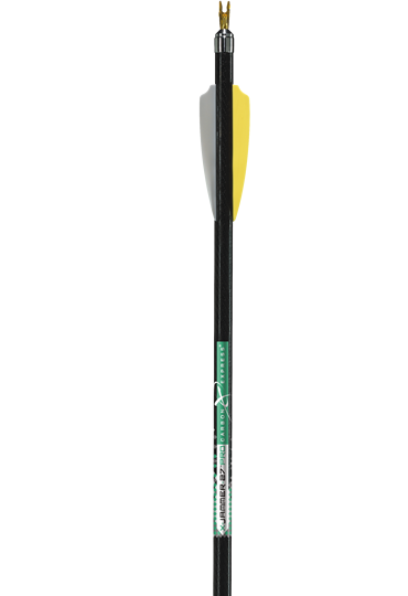 X Jammer 27 Pro_2010
