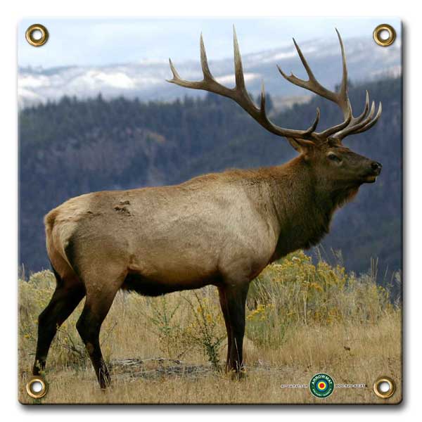 elk_4c0c31ee39ac7