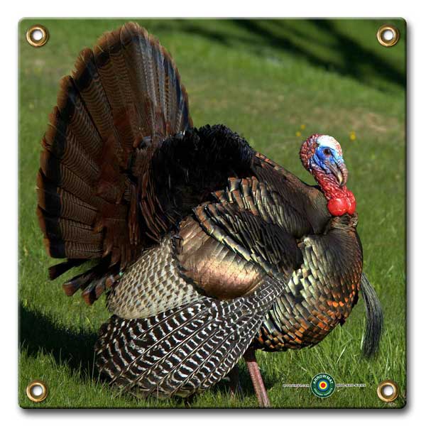turkey_4c0c3217a9ee3